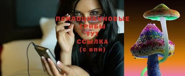 кокс Каменка