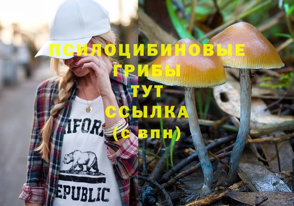 кокс Каменка