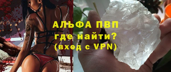 тгк Каменногорск