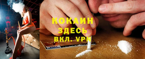 тгк Каменногорск