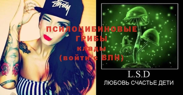тгк Каменногорск