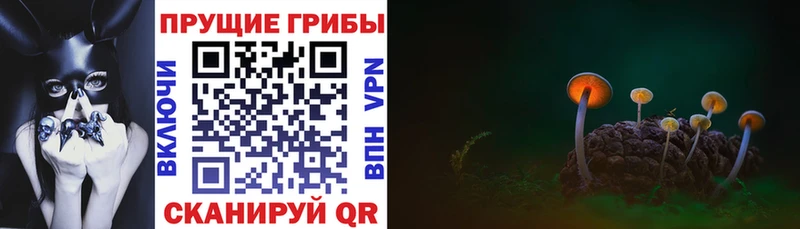 Галлюциногенные грибы мицелий  Купить закладки  Зеленогорск 