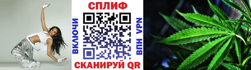 Конопля MAZAR  Купить  Зеленогорск 